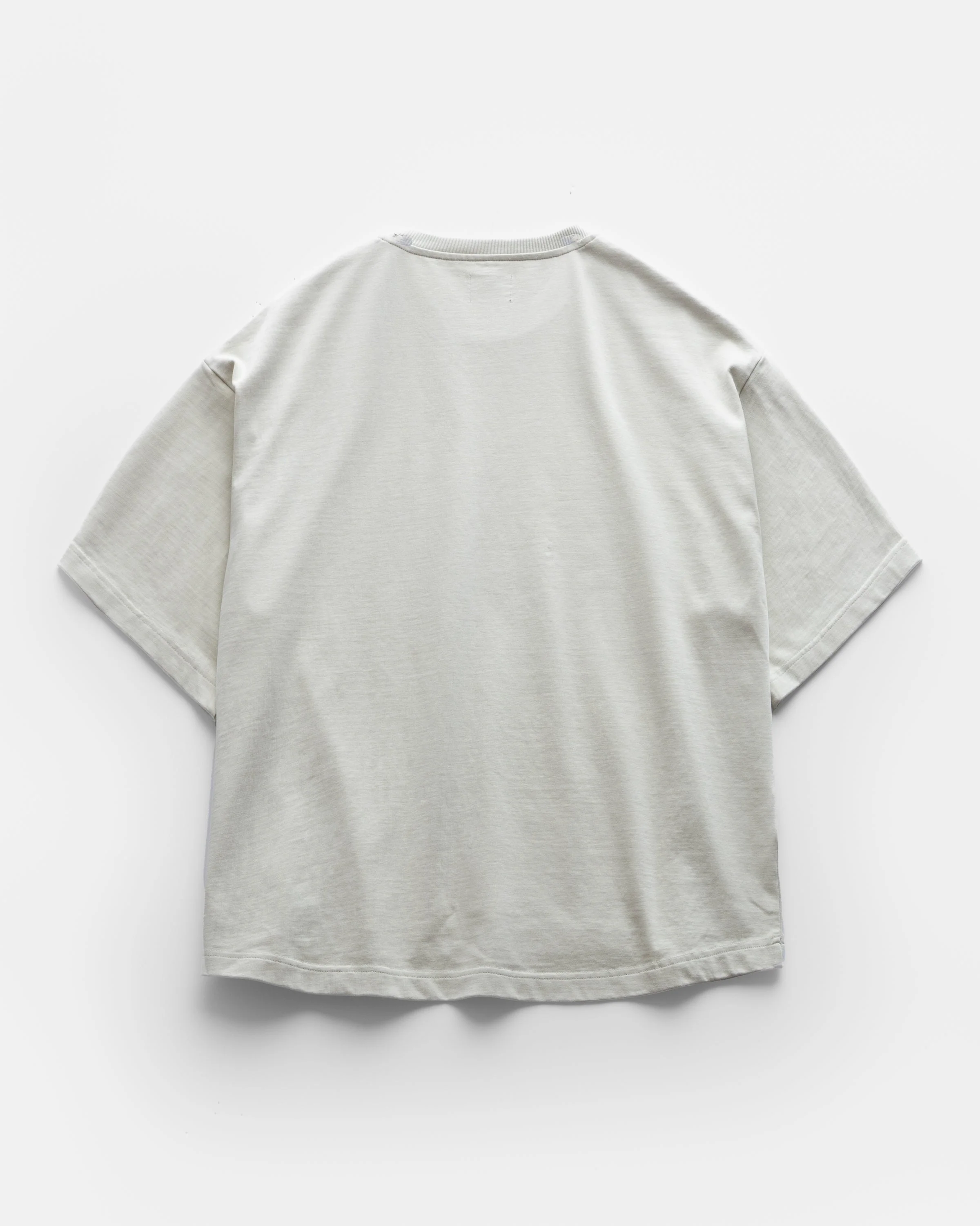 GRAHAME BIG TEE - BARELY LICHEN HEAVYWEIGHT COTTON JERSEY - Image 4